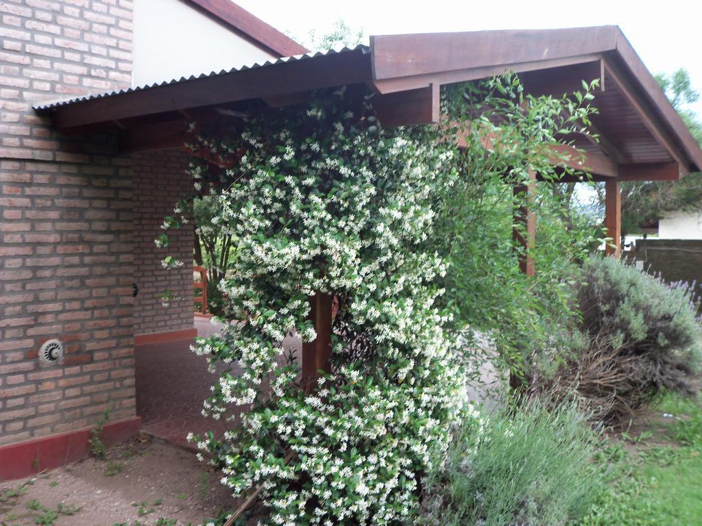 Cabanas El Dominador La Falda Esterno foto